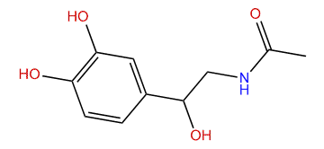 N-acetylarterenol