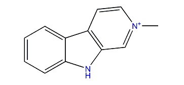 N-Methyl-beta-carbolinium