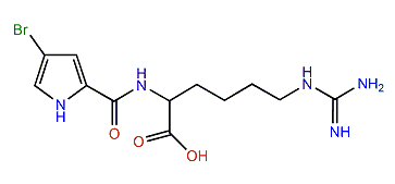 N2-(4-Bromo-1H-pyrrole-2-carbonyl)-homoarginine