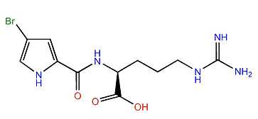 N2-(4-Bromo-1H-pyrrole-2-carbonyl)-arginine