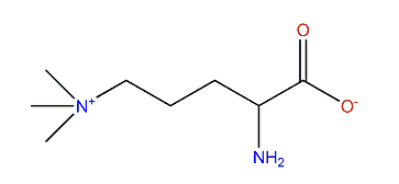 4-Amino-4-carboxy-N,N,N-trimethyl-1-butanaminium