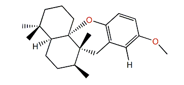 O-Methylaureol