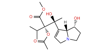 O2-Acetylintermedine