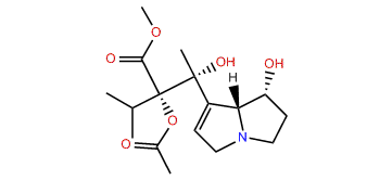 O3-Acetylintermedine