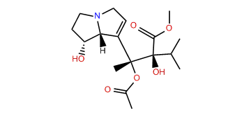O3-Acetyllycopsamine