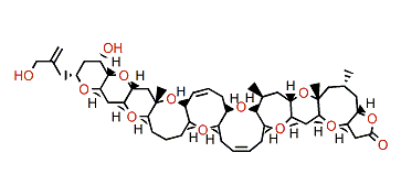 Brevetoxin PbTx7