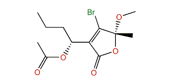 (R,R)-3-(1-Acetoxybutyl)-4-bromo-5-methoxy-5-methyl-2(5H)-furanone