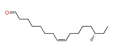 (R)-(Z)-14-Methyl-8-hexadecenal