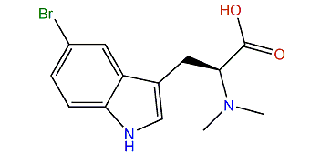 (R)-5-Bromo-N,N-dimethyltryptophan