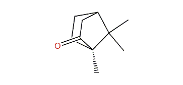 (1R)-1,7,7-Trimethylbicyclo[2.2.1]heptan-2-one