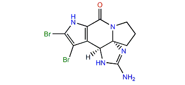 (R)-Dibromoisophakellin