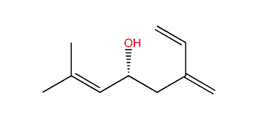(4R)-2-Methyl-6-methylene-2,7-octadien-4-ol