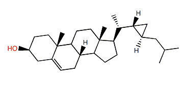 (R,R)-22,23-Methylenecholest-5-en-3b-ol