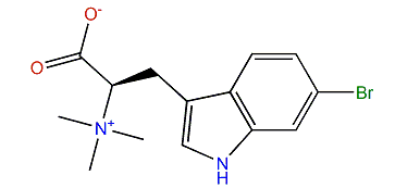 (R)-6-Bromohypaphorine