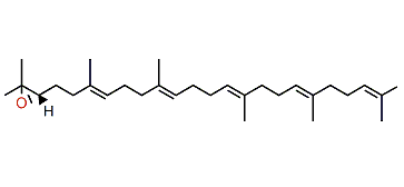 (S)-2,3-Epoxysqualene