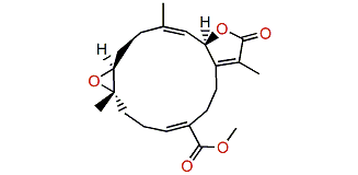 (S)-2-epi-12-Methoxycarbonyl-11E-sarcophine