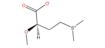 (S)-4-Dimethylsulfonio-2-methoxybutanoate
