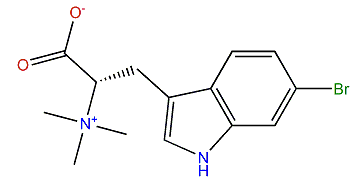 (S)-6-Bromohypaphorine
