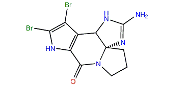 (S)-Dibromocantherelline