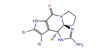 (S)-Dibromoisophakellin
