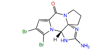 (S)-Dibromophakellin