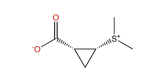 (S)-Methyl-cis-2-(methylthio)-cyclopropanecarboxylic acid