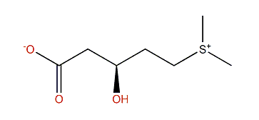 (S)-5-Dimethylsulfonio 3-hydroxypentanoate