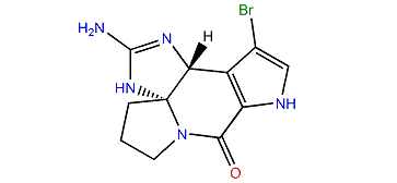 (S)-Monobromoisophakellin