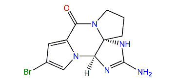 (S)-Monobromophakellin