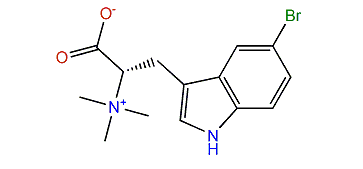 (S)-5-Bromohypaphorine