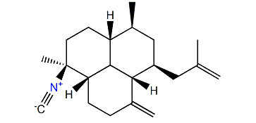 (S)-7-Isocyanoamphilecta-11(20),15-diene