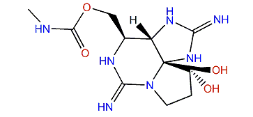 N'-Methylsaxitoxin