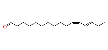 (Z,E)-11,13-Hexadecadienal