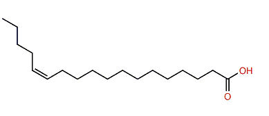 (Z)-13-Octadecenoic acid