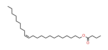 (Z)-13-Docosenyl butyrate
