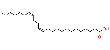 (Z,Z)-13,17-Tetracosadienoic acid