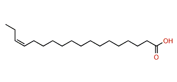 (Z)-15-Octadecenoic acid
