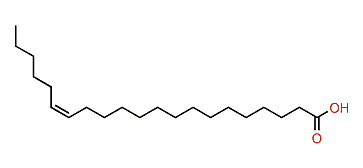 (Z)-15-Heneicosenoic acid