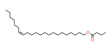 (Z)-15-Docosenyl butyrate