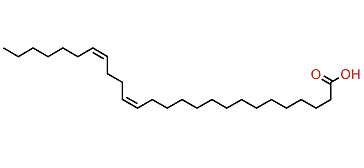 (Z,Z)-15,19-Hexacosadienoic acid