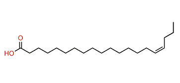 (Z)-16-Eicosenoic acid