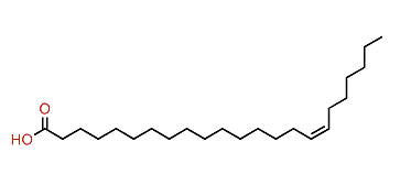 (Z)-16-Tricosenoic acid