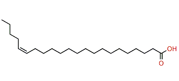 (Z)-17-Docosenoic acid
