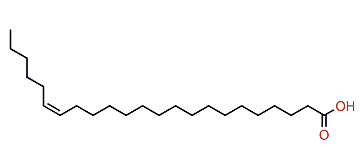 (Z)-17-Tricosenoic acid