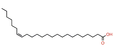 (Z)-17-Tetracosenoic acid