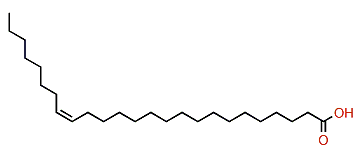 (Z)-17-Pentacosenoic acid