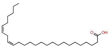 (Z,Z)-17,20-Hexacosadienoic acid