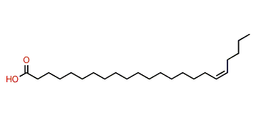 (Z)-18-Tricosenoic acid