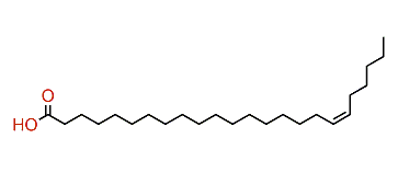 (Z)-18-Tetracosenoic acid