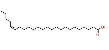 (Z)-19-Tetracosenoic acid